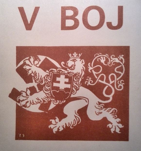 v-boj-v-barve.jpg